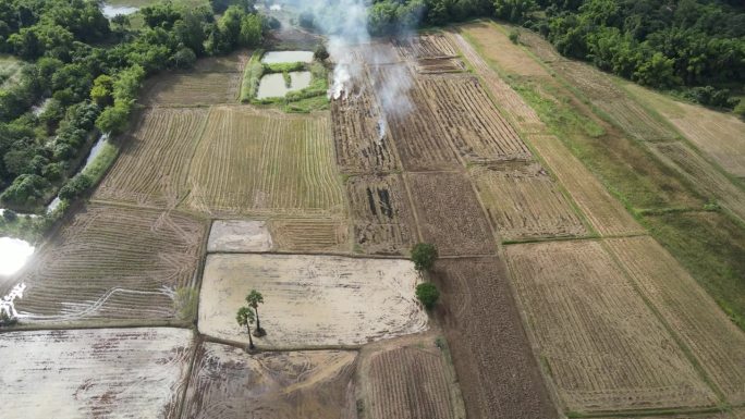 从无人机上鸟瞰收割后燃烧的稻田。