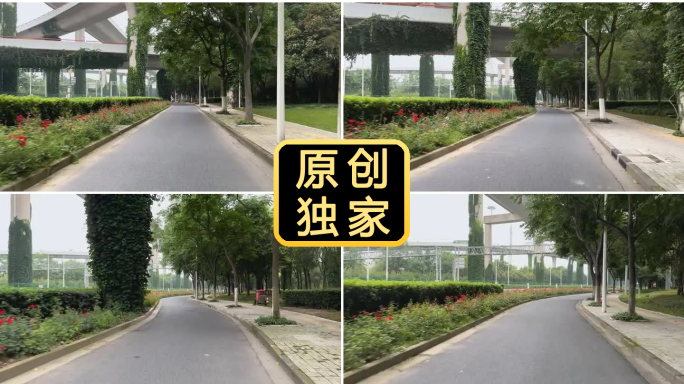 骑行第一视角 骑行风景骑行上班骑电动车