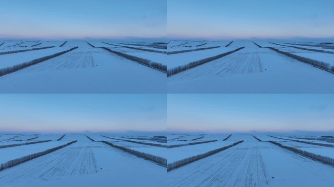 航拍冬天农垦垦区田野雪景