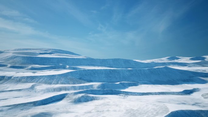 北极地区是一片冰雪覆盖的冰冻沙漠。