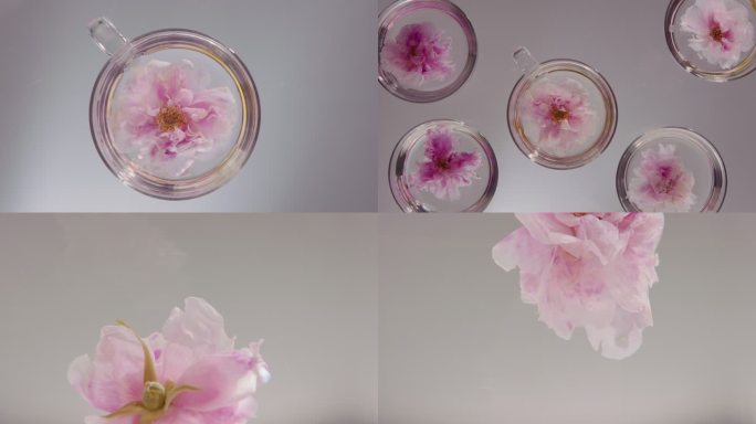 4K花朵唯美玫瑰花空镜实拍花瓣掉落慢镜头
