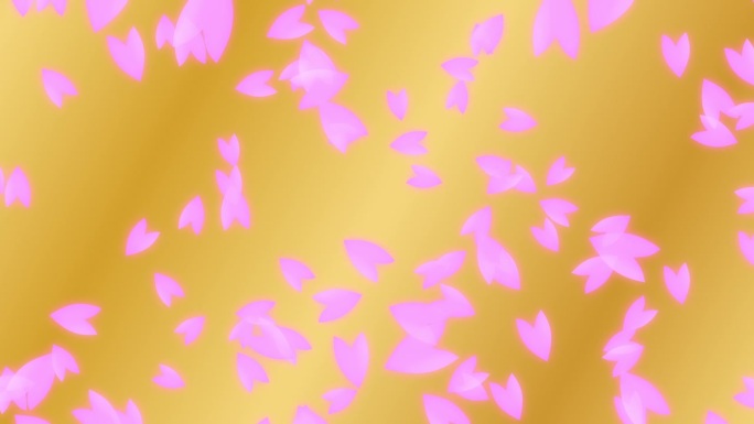 粉红色的樱桃花瓣从上到下落在移动的金色梯度背景。抽象的背景，一个场景的春天在日本。