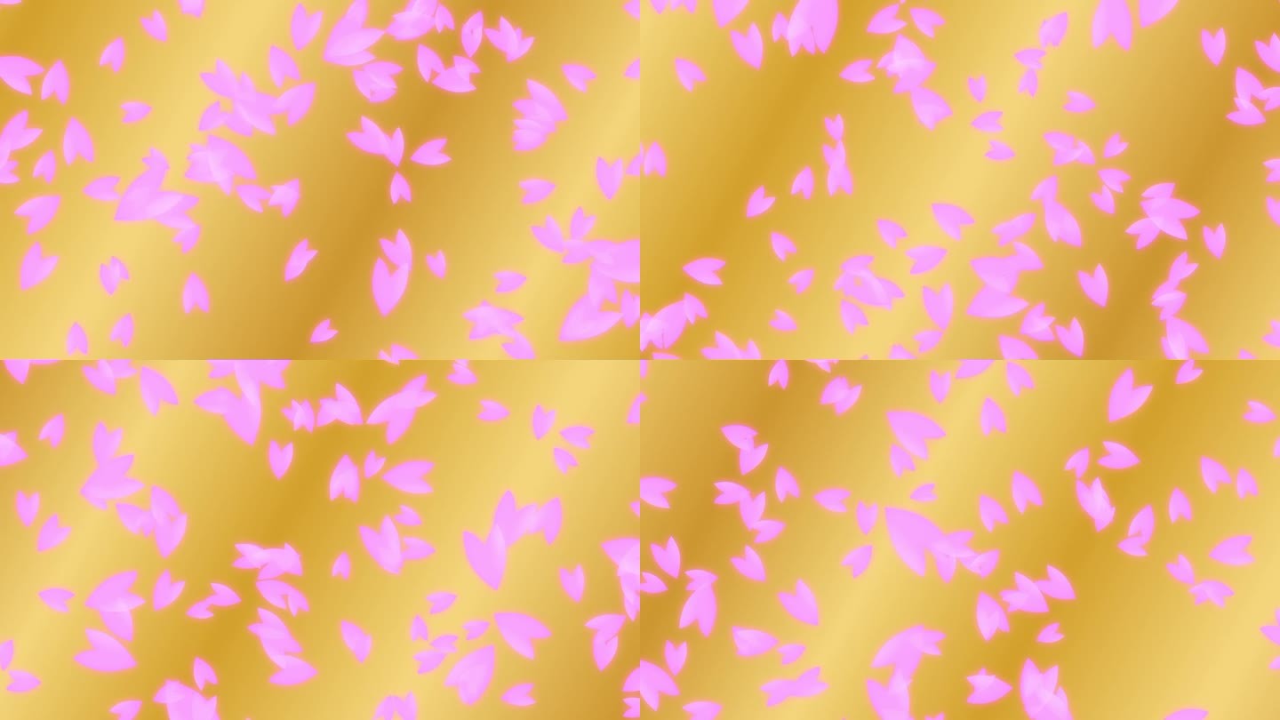 粉红色的樱桃花瓣从上到下落在移动的金色梯度背景。抽象的背景，一个场景的春天在日本。
