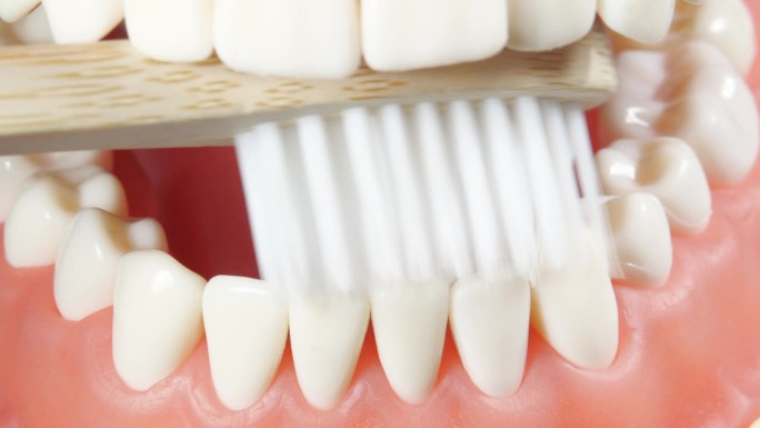 在牙科诊所预约牙医的病人。用白色绿色牙刷刷牙教程的外景。口腔清洁晨间保健程序。牙科护理及教育