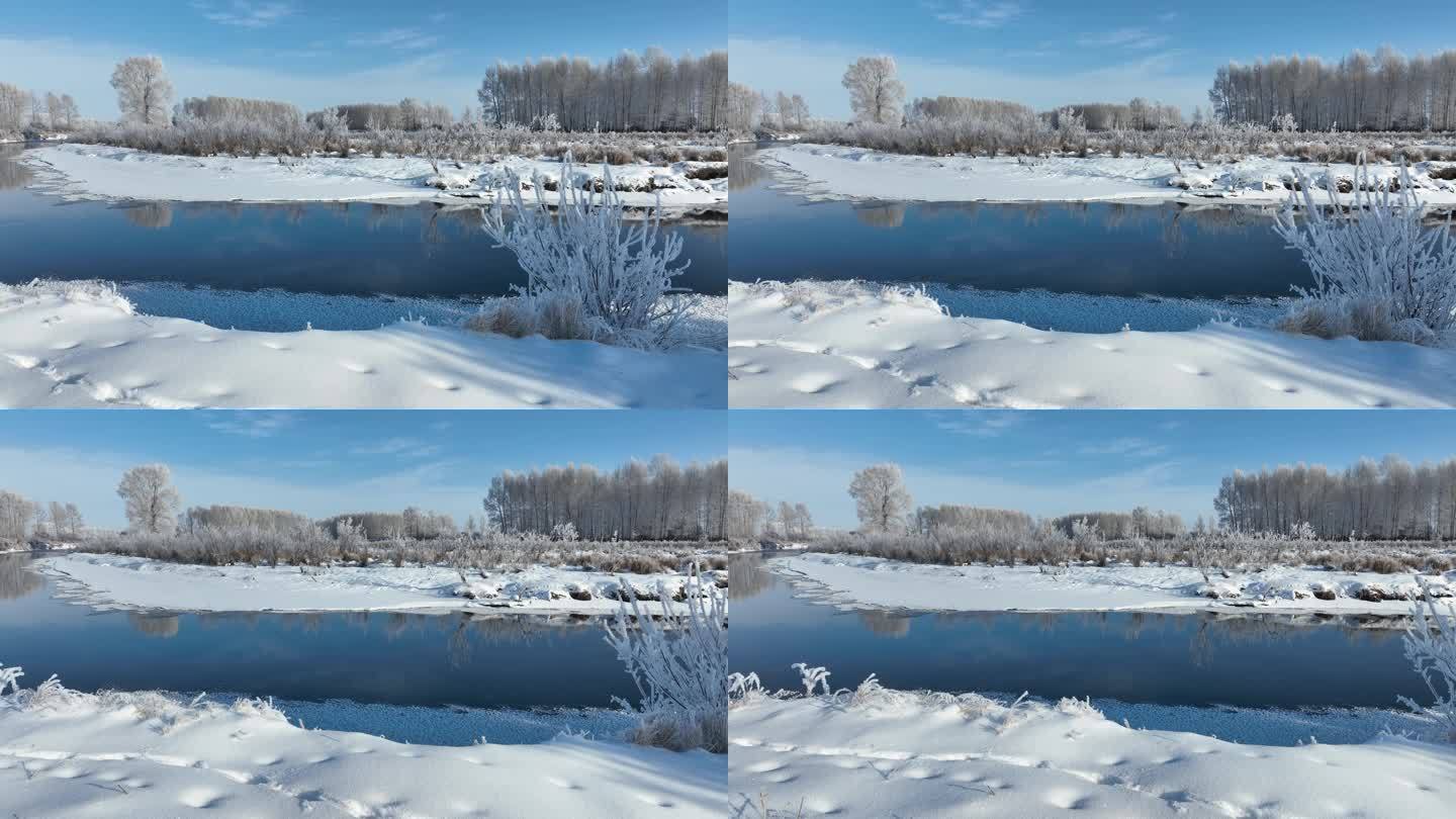 初冬河流湿地雾凇树挂美景