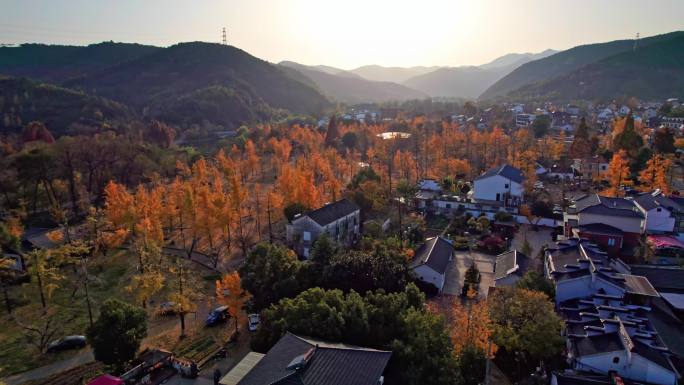 山村秋色 长兴八都芥景区