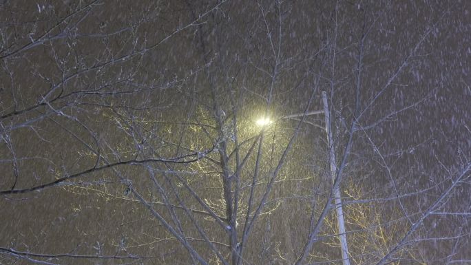 夜晚大雪路灯空镜