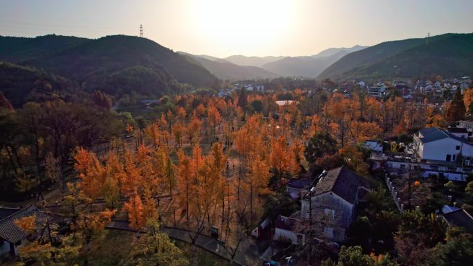 山村秋色 长兴八都芥景区