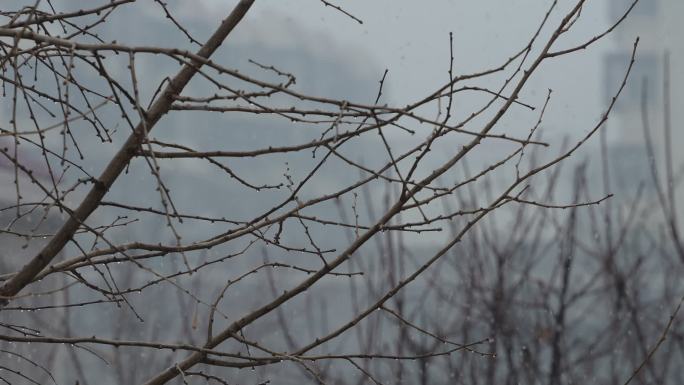 雨雪天气