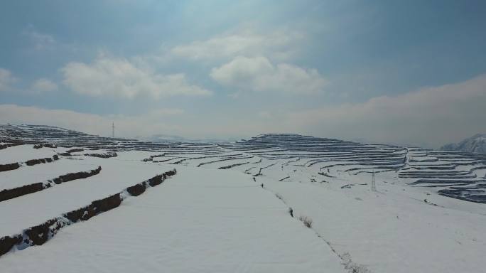 冬天甘肃岷县铺满雪的梯田