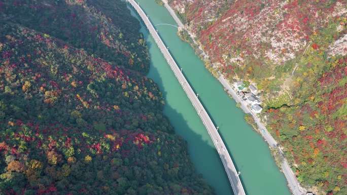 湖北宜昌兴山水上公路红叶