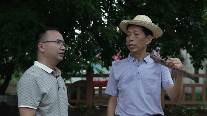 乡村振兴 村官 党员 下基层 农民