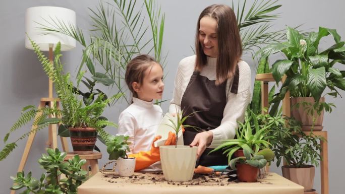 勤劳的母亲和女儿一起在家里种植绿色植物，在家里给室内植物浇水，照顾盆栽花