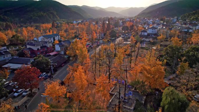 山村秋色 长兴八都芥景区