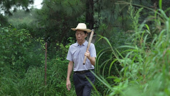 党徽 乡村振兴 村官 党员 下基层 农民