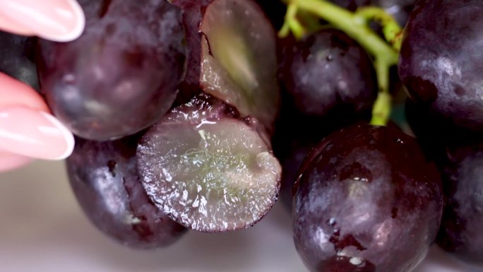葡萄生长的一套要素，种植葡萄的过程从播种、发芽、开花、坐果、变型、收获、成熟的葡萄串。