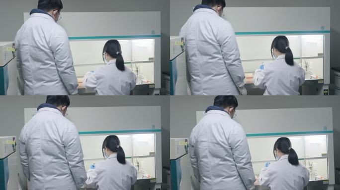 实验室 小白鼠 试管 做实验 医院