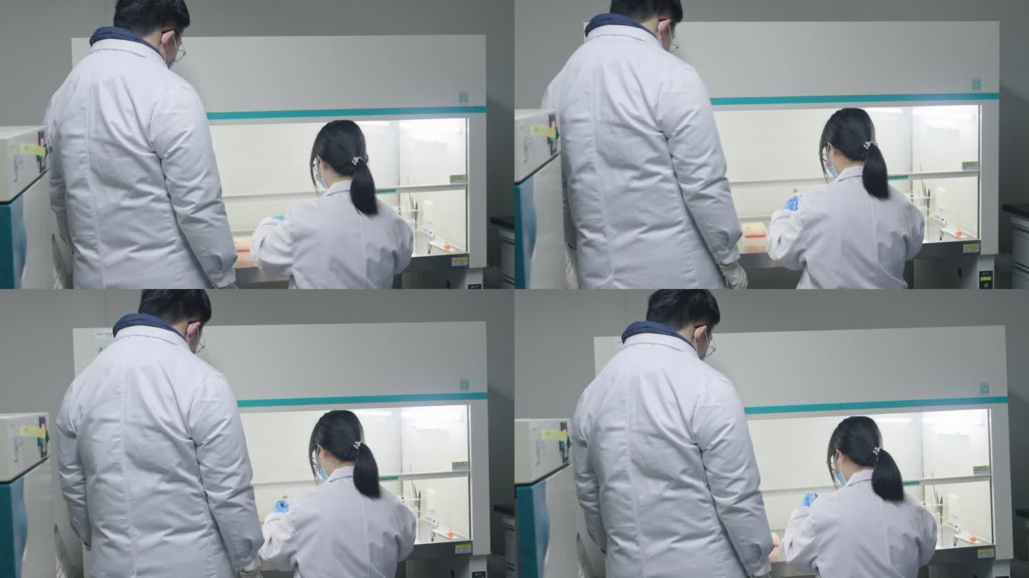 实验室 小白鼠 试管 做实验 医院