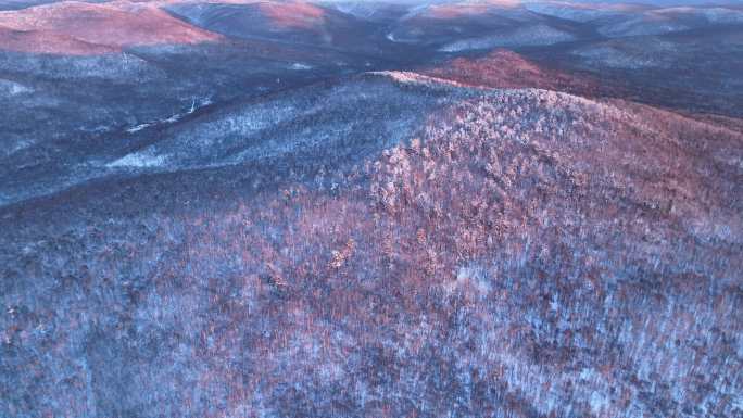 航拍林海雪原山林雾凇暮色