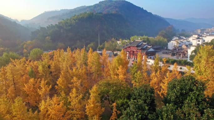 山村秋色 长兴八都芥景区