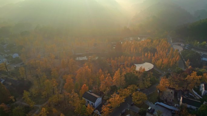 山村秋色 长兴八都芥景区