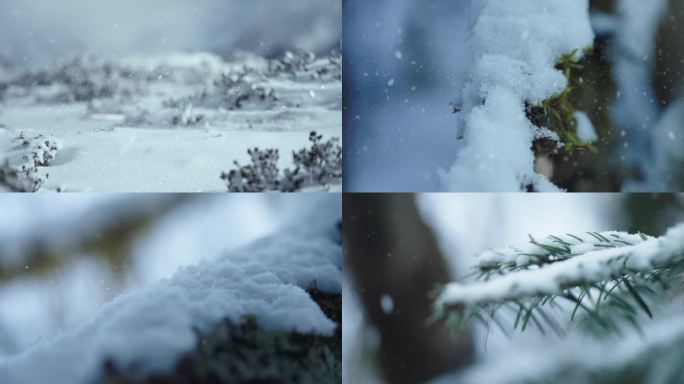 下雪特写 雪景小景 唯美雪景