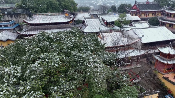 涂山寺下雪