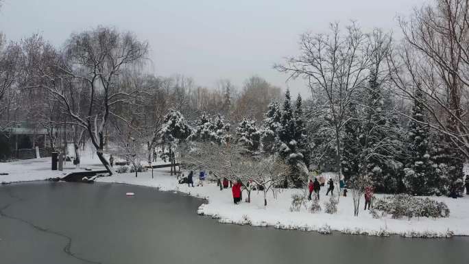 航拍公园雪后水面园林美景