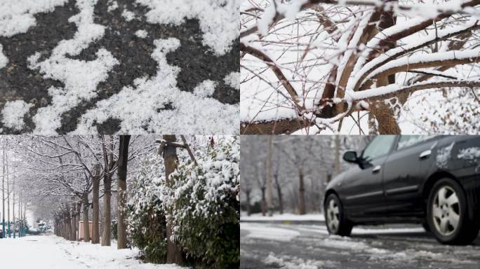 雪景写意