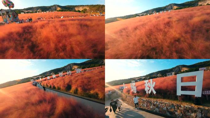 南京矿坑公园粉黛穿越机FPV