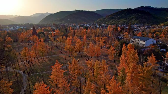 山村秋色 长兴八都芥景区