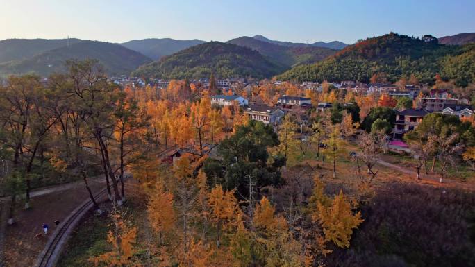 山村秋色 长兴八都芥景区