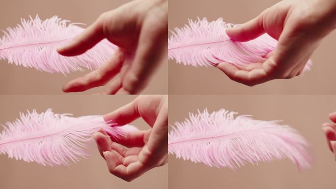 粉红色的羽毛纹理，触摸柔软的羽毛在米色背景特写。柔软和皮毛柔嫩的概念。