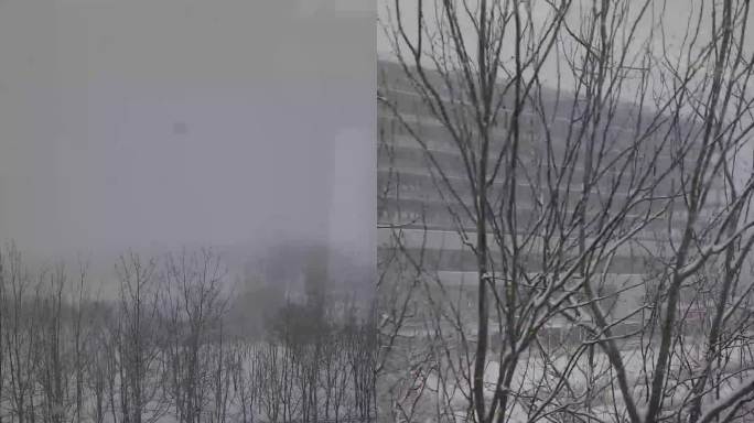 【竖版视频】北京地铁窗外的雪景