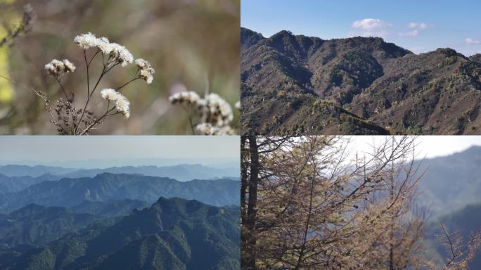 4k 驼梁大山