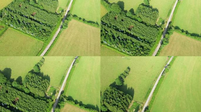 一条绿道蜿蜒穿过欧洲、法国、勃艮第、尼弗尔的乡村，在夏天，在一个阳光明媚的日子里，通向<s:1>奇农
