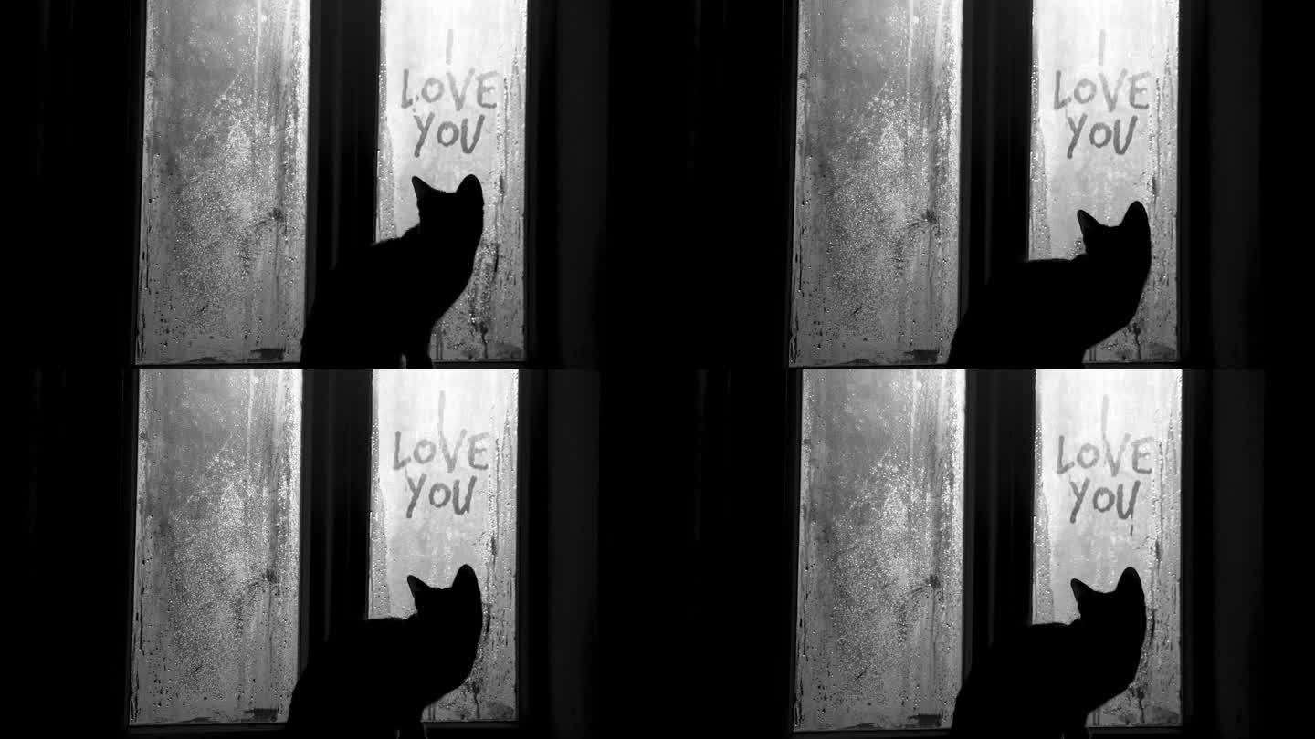 小猫望着雾气蒙蒙的古农家窗户，站在窗台上，好奇我爱你的手写题词。寒冷的早晨浪漫惬意的景色。黑白照片