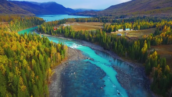 航拍新疆喀纳斯秋天森林河流湖泊自然风景