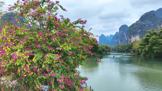 阳朔遇龙河仙境