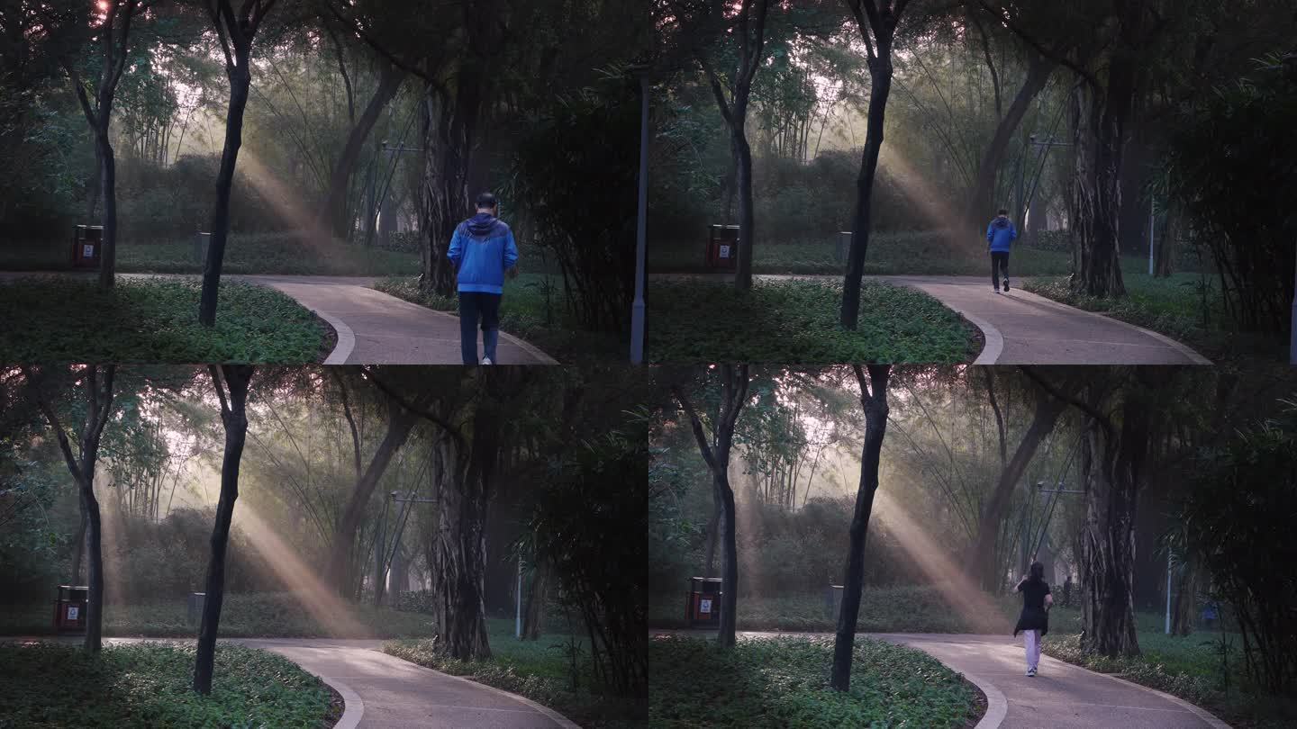 4K实拍公园雨后的晨雾与阳光穿透树林市民