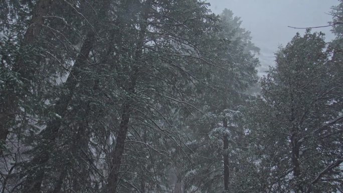北亚利桑那州冬季暴风雪