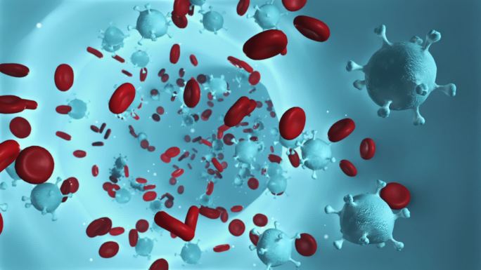 血管 红细胞 病毒