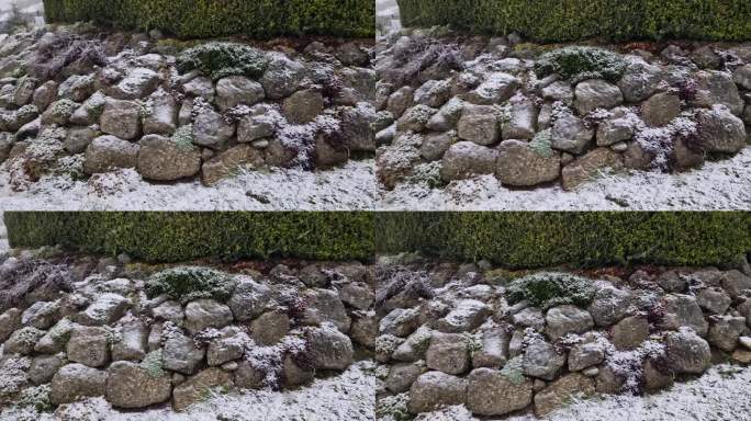 砂岩墙和石头在一个有楼梯的梯田地形花坛。开花的岩石花园和砾石表面的楼梯。草本花园，冬季，斜坡，挡土墙
