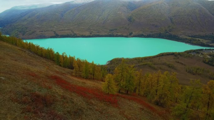 航拍新疆喀纳斯秋天森林河流湖泊自然风景