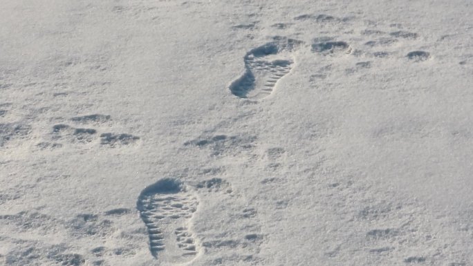 雪野足迹