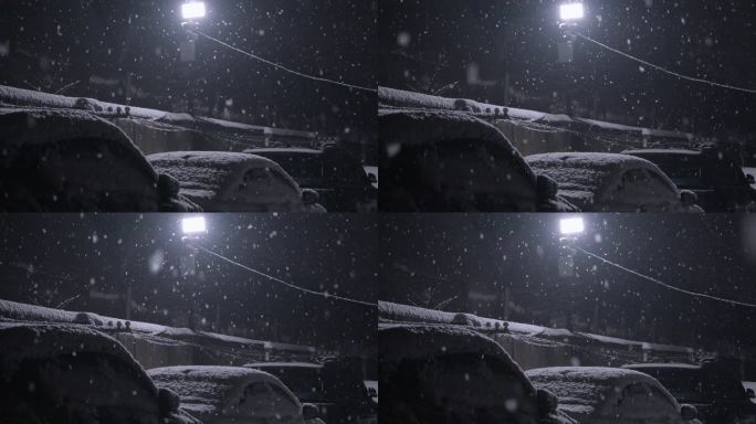 雪 下雪 升格 慢镜头 慢动作