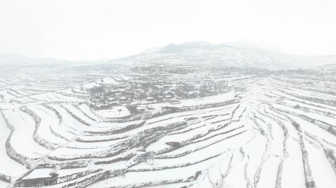 下雪中的甘肃岷县梯田村落