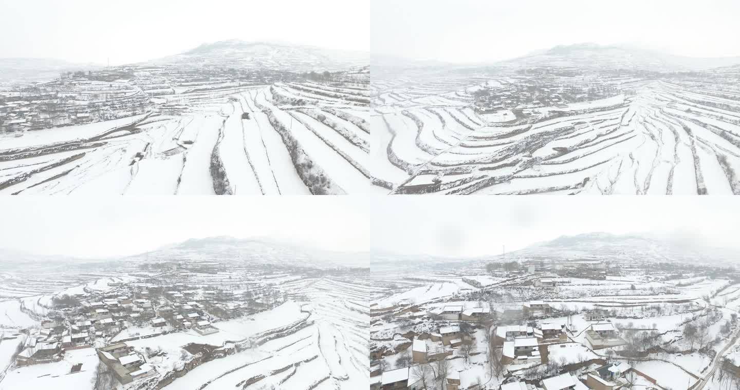 下雪中的甘肃岷县梯田村落