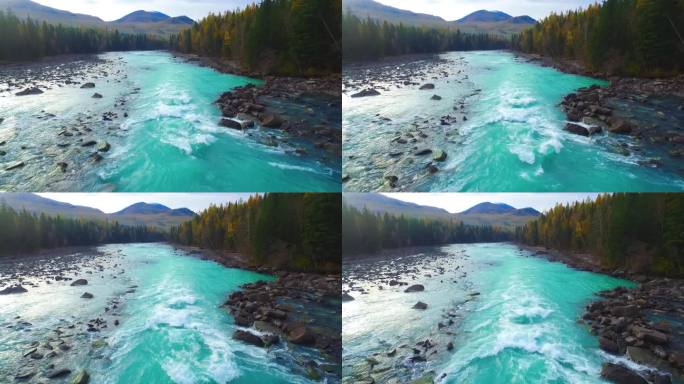 航拍新疆喀纳斯秋天森林河流湖泊自然风景