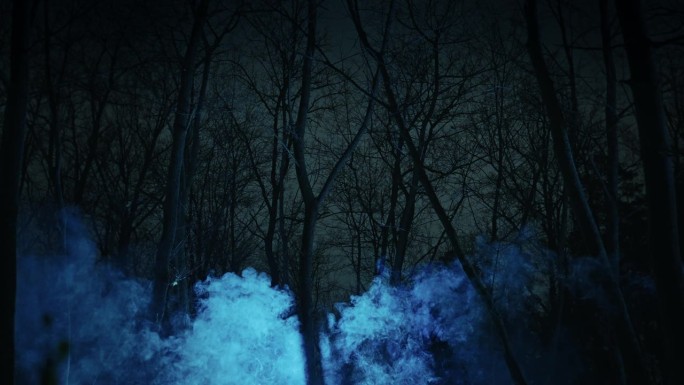 夜森林里的神秘景象。树的黑影背后是不祥的黑暗和不确定性。